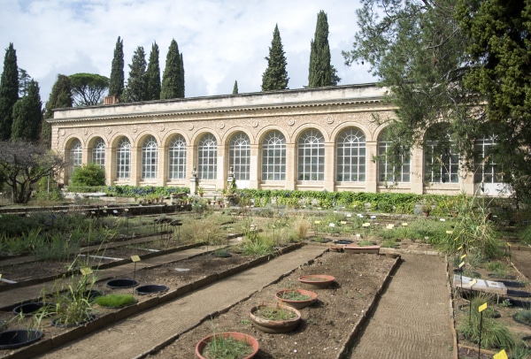 Jardin des plantes de Montpellier - Wikipedia